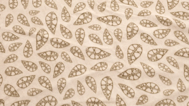 Fleece Carpet Klondike S